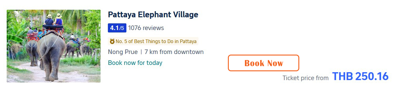 Pattaya Elephant Village