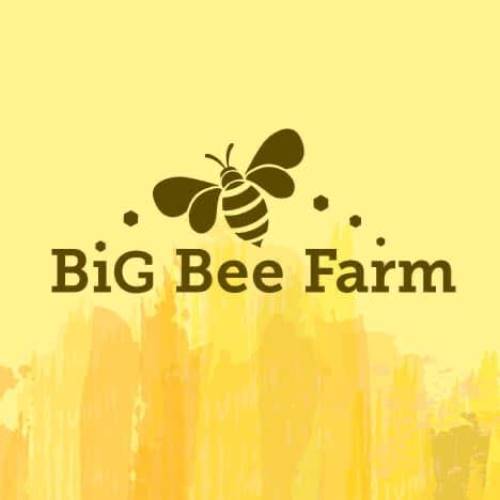 Big Bee Farm