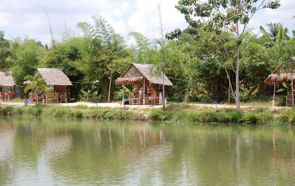 Amazon Fishing Park