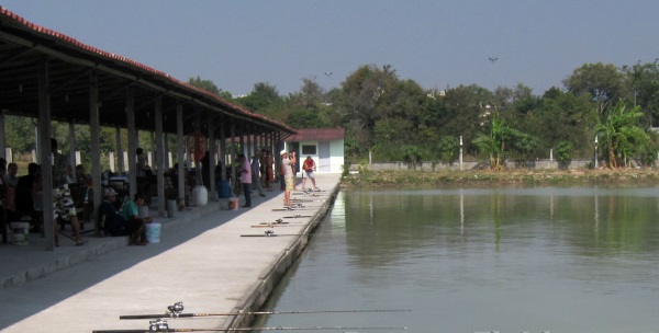 Pattaya Fishing Park