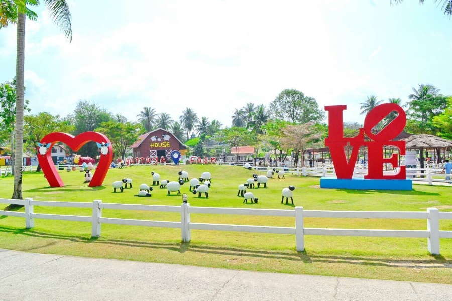 Pattaya Sheep Farm
