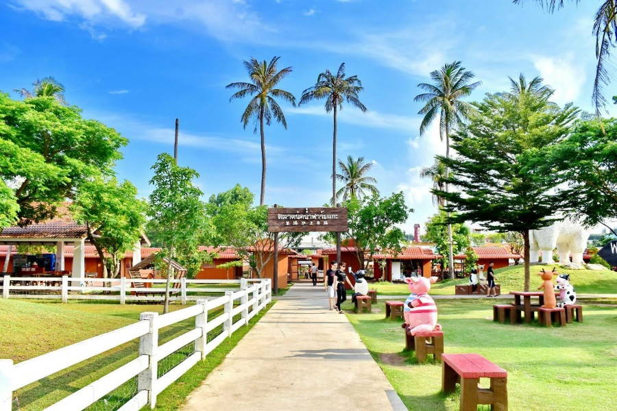 Pattaya Sheep Farm