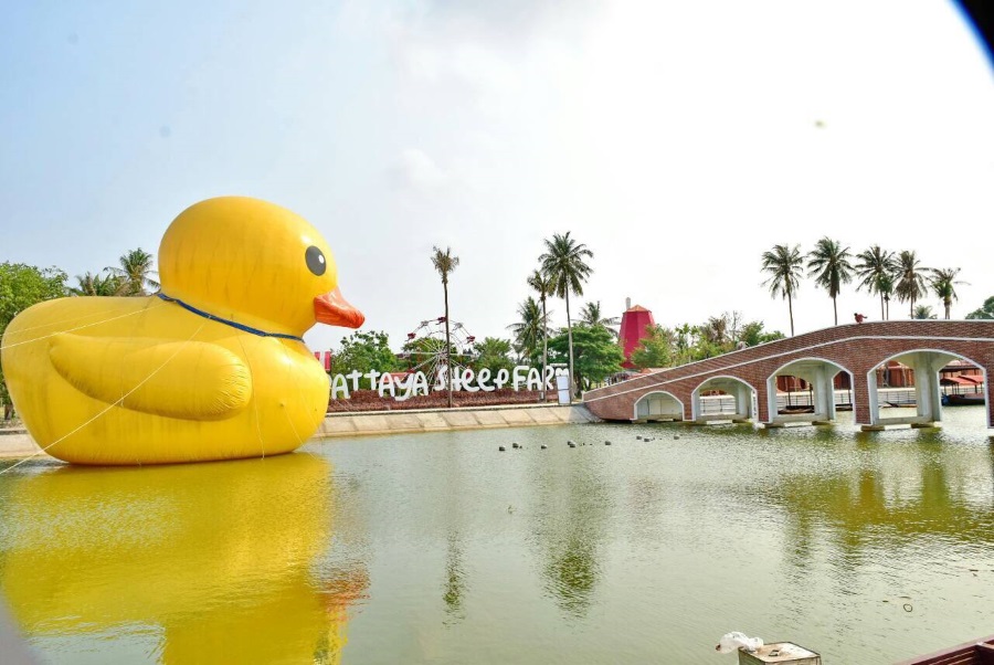 Pattaya Sheep Farm