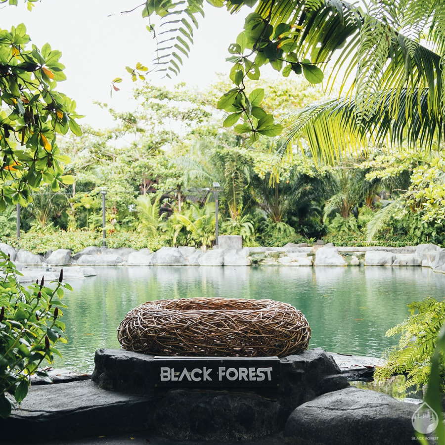 Black Forest Pattaya