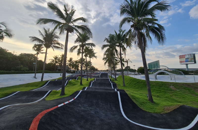 Coco Beach Surfskate
