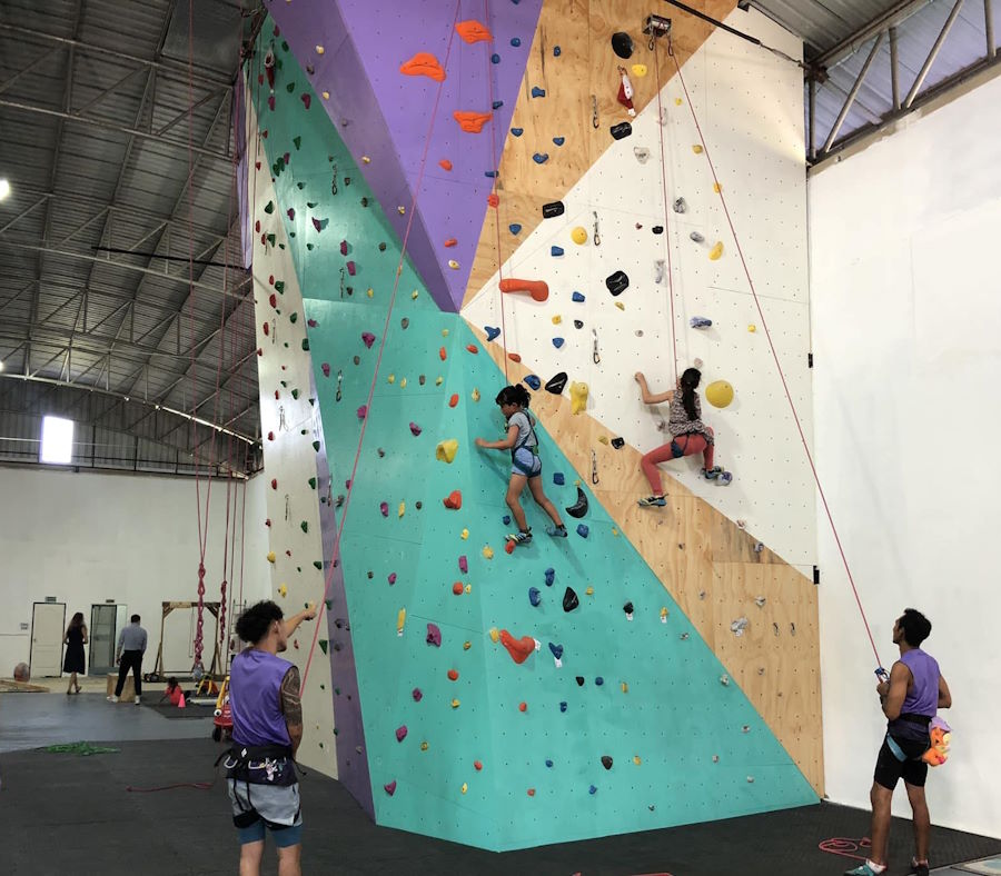 Bean Cow Climbing Gym