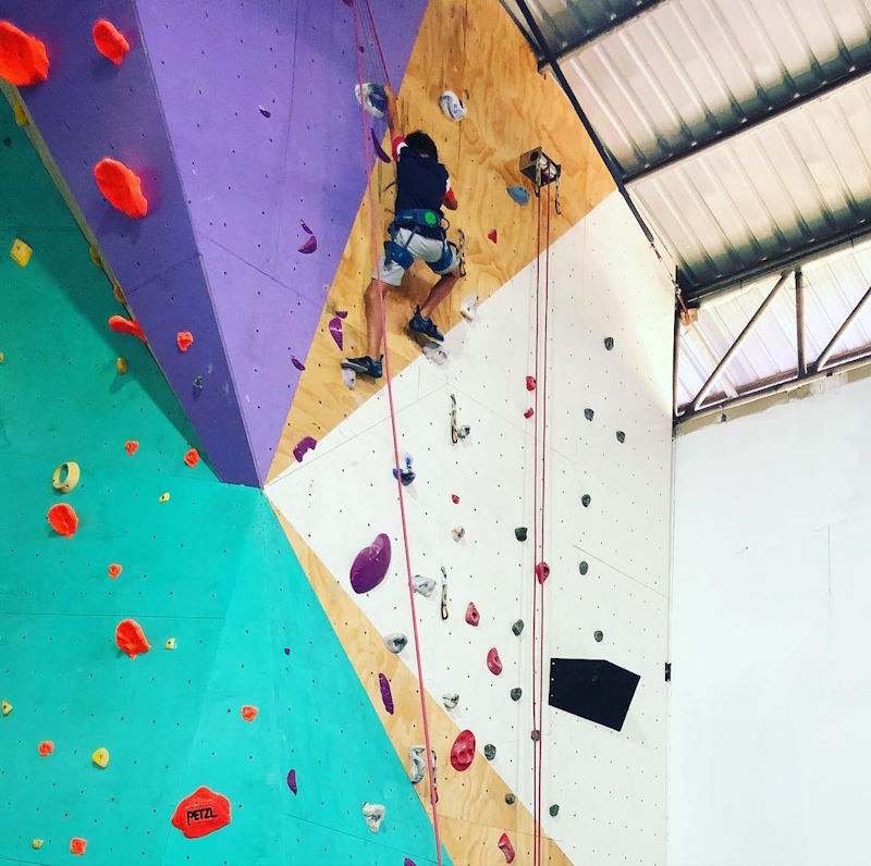 Bean Cow Climbing Gym