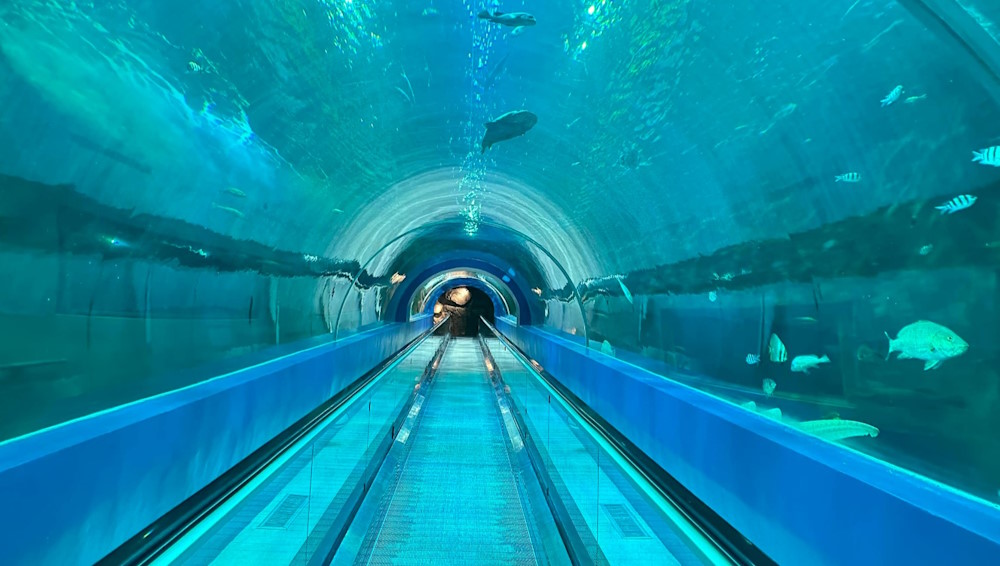 Bangsaen Aquarium