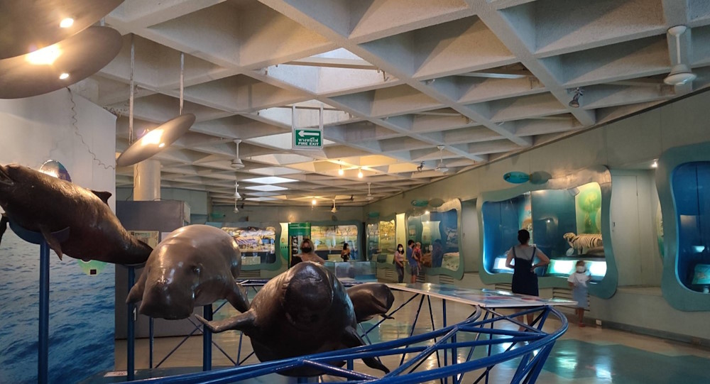 Bangsaen Aquarium