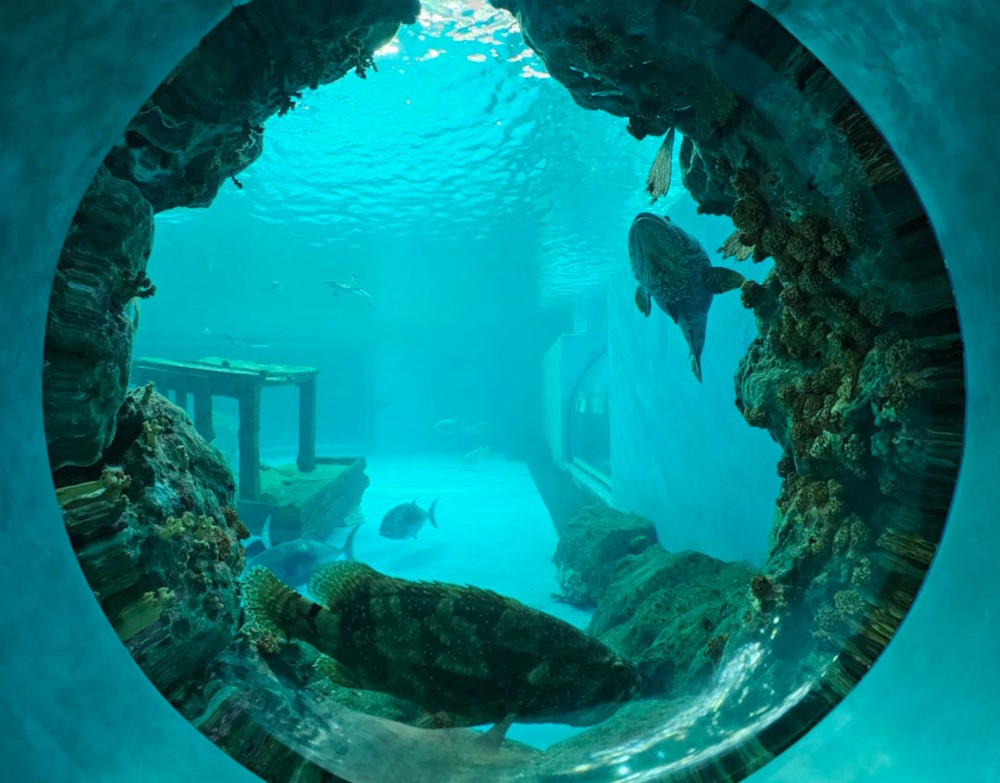 Bangsaen Aquarium